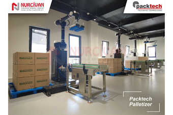 Packtech Palletizer Robotlar