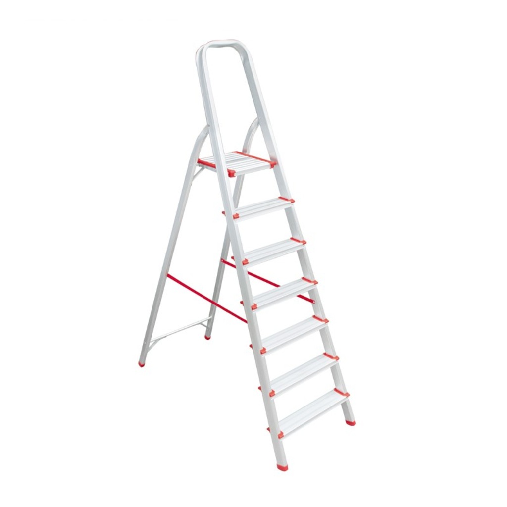 Packtech Household Aluminum Ladder