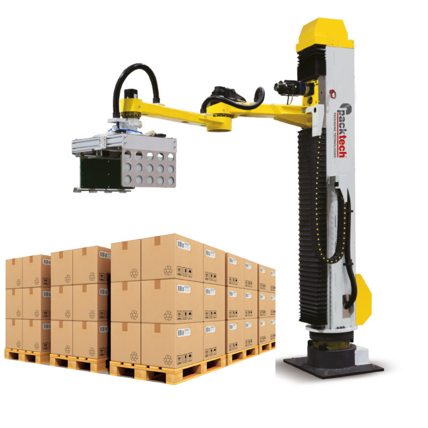 Packtech Palletizer